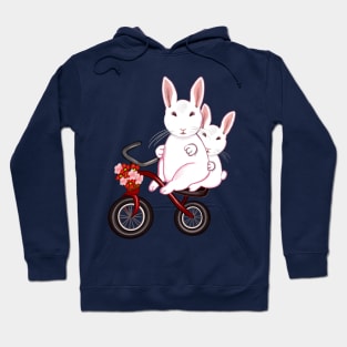 bunny rabbits on a tricycle bicycle- cute bunny rabbits Hoodie